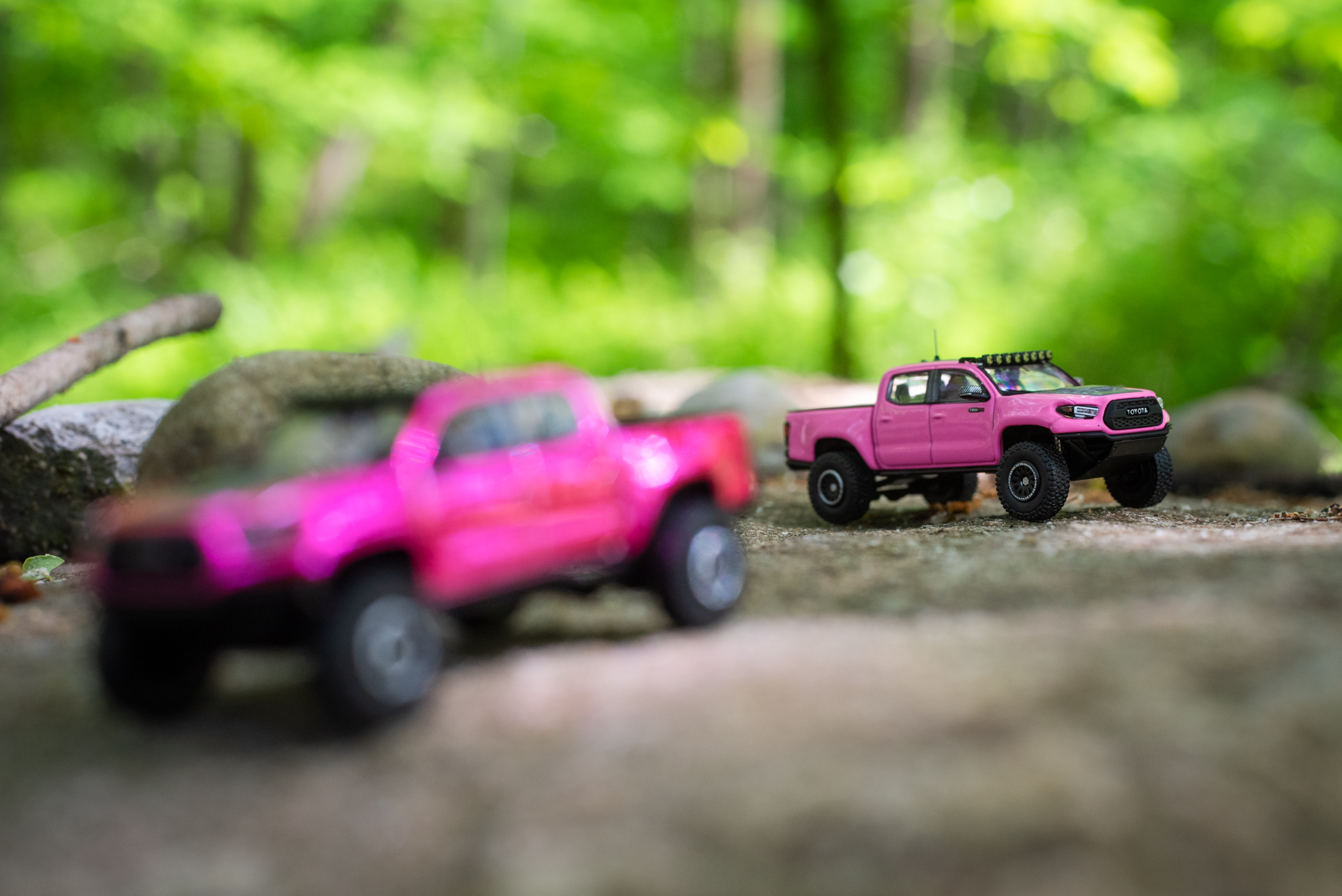 Dsc 7081 Lamleygroup